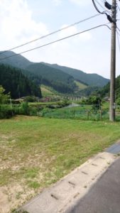川端　2016 3