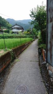 川端　2016 2
